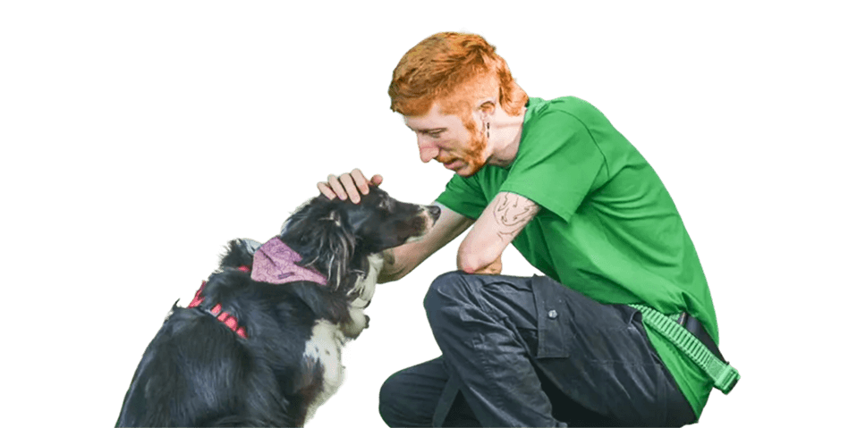 Educador canino profesional trabajando con un perro