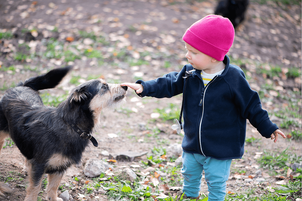 ¿Cómo deben interactuar perros y niños que no se conocen?