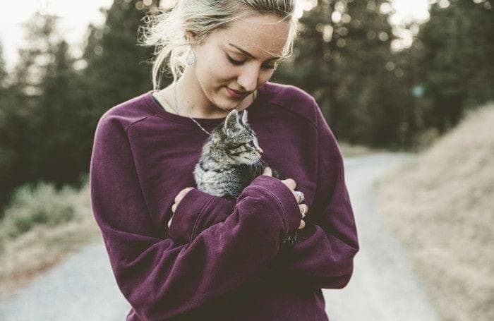 ¿Cómo socializar un gato cachorro?