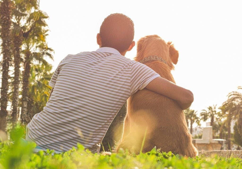 ¿Puede mi perro olvidarse de mí? Conoce cómo funciona la memoria de un perro.