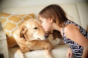 Por que nos interesamos por los animales