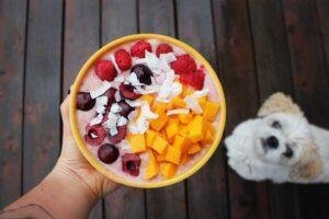 Que verduras y frutas pueden comer los perros