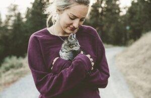 socializacion del gato cachorro a otras personas