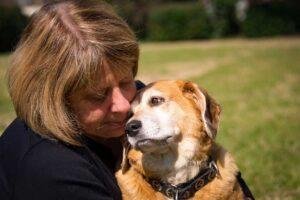 Como quitar el miedo a un perro maltratado