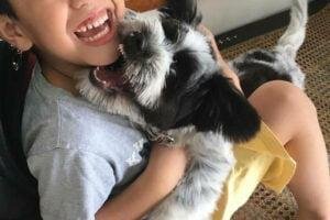 mi perro muerde