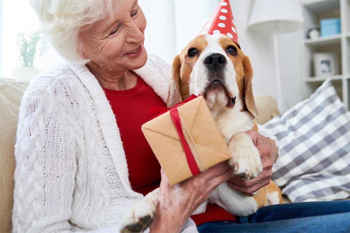 El vinculo humano perro y sus beneficios