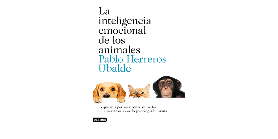 Inteligencia emocional review 1