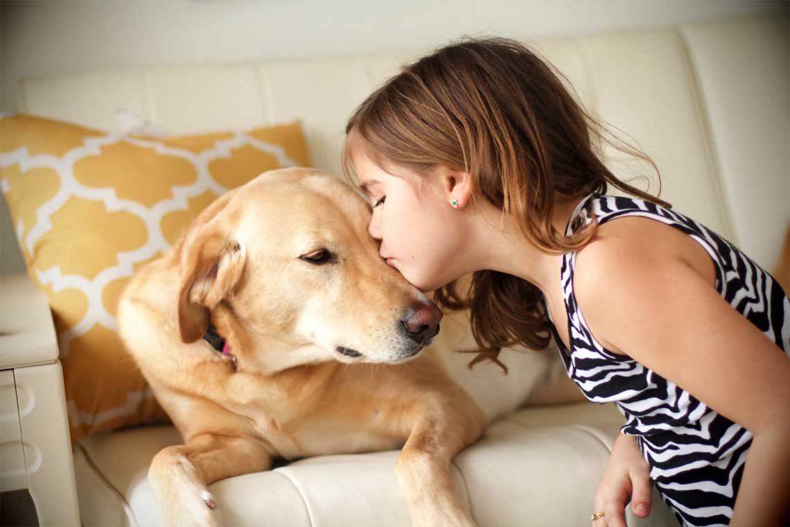 Por que nos interesamos por los animales