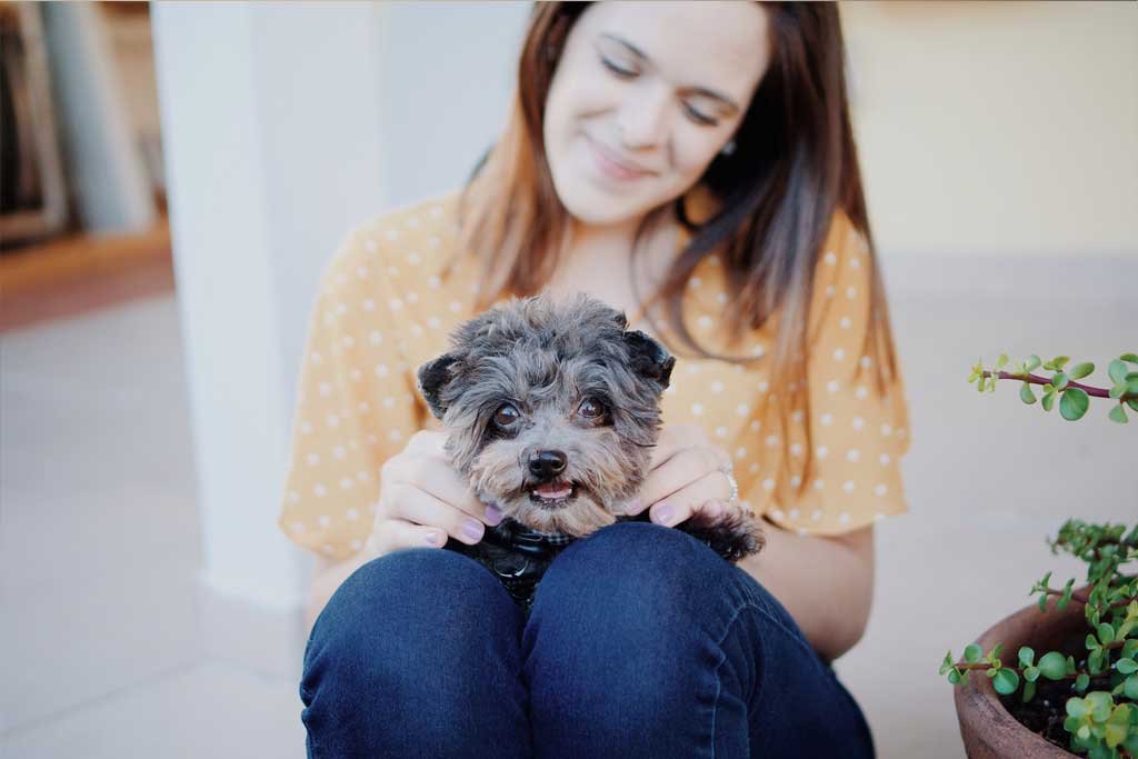 adoptar un cachorro