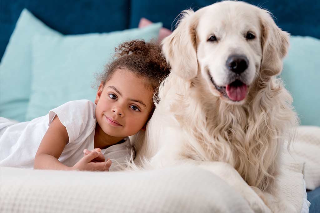 dimension emocional en perros