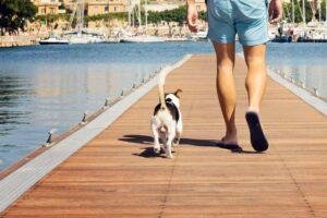 Pasear a mi perro sin correa