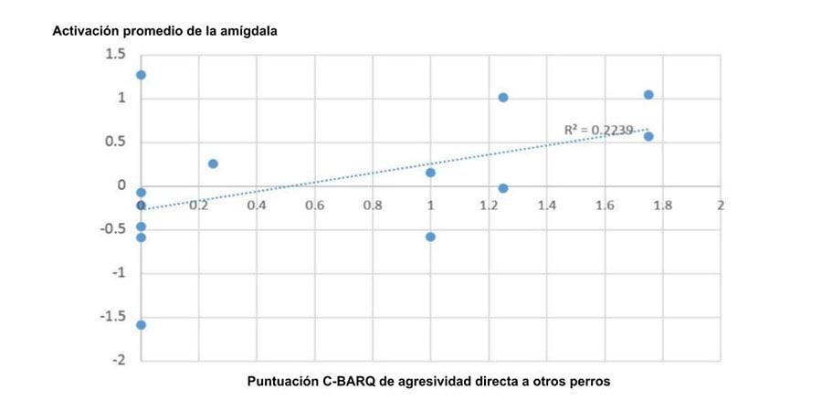 estudio c barq 1 estudio c barq 1